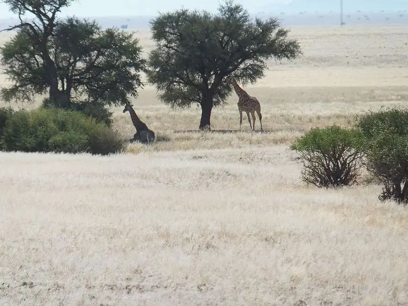k-DSCF1164.JPG