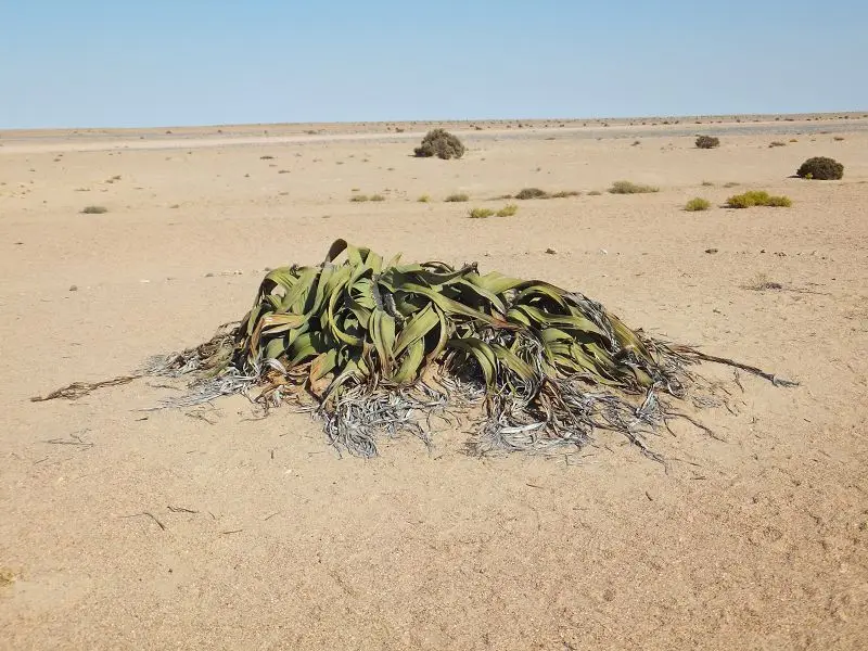 k-DSCF1174.JPG