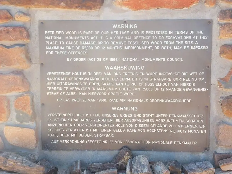 k-DSCF1408.JPG