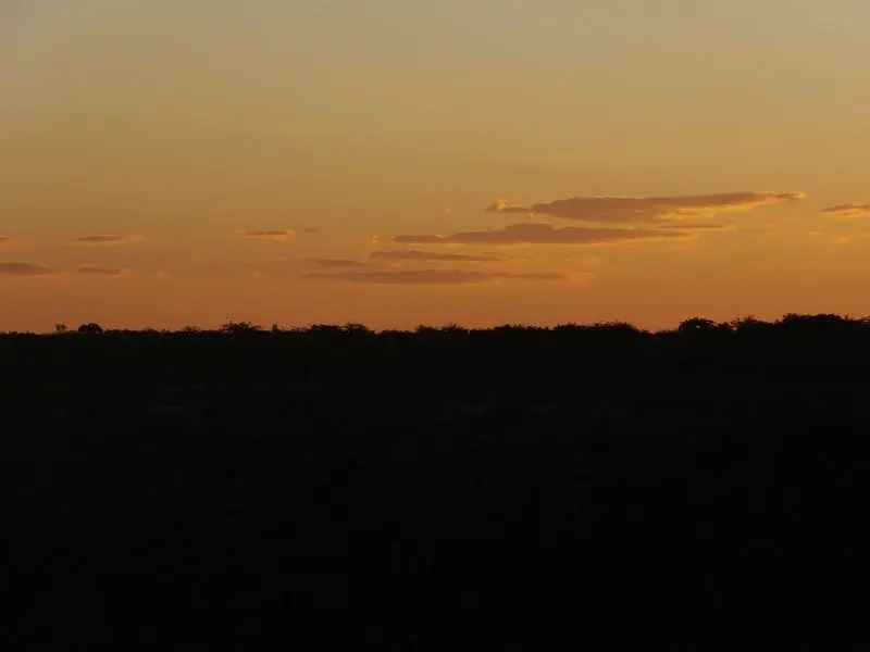 k-DSCF1483.JPG
