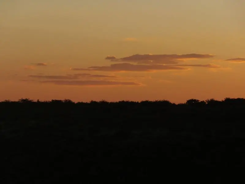k-DSCF1488.JPG