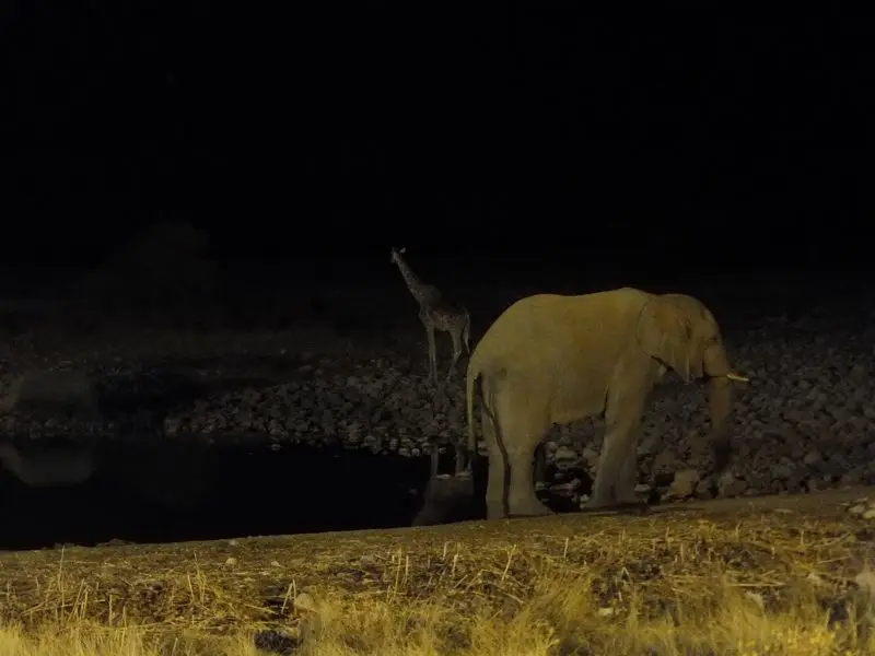 k-DSCF1811.JPG