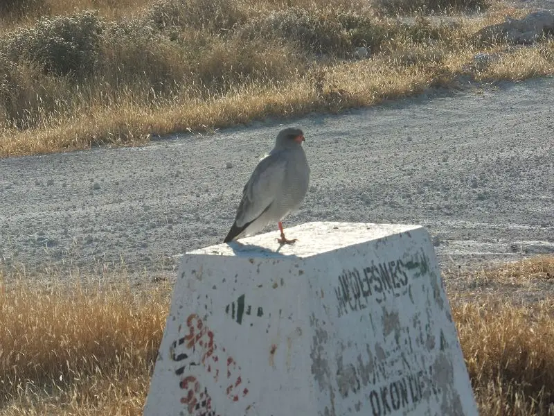 k-DSCF1881.JPG