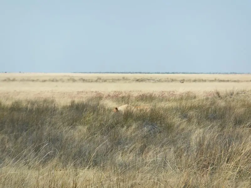 k-DSCF2055.JPG