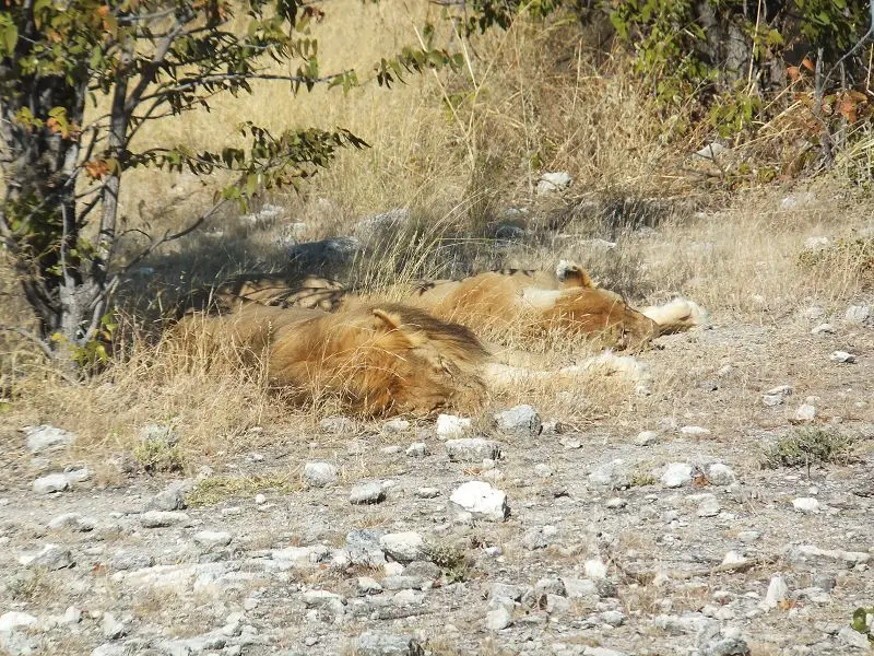 k-DSCF2112.JPG