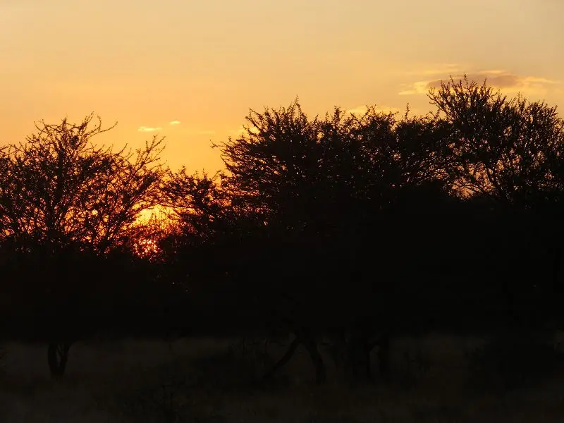 k-DSCF2263.JPG