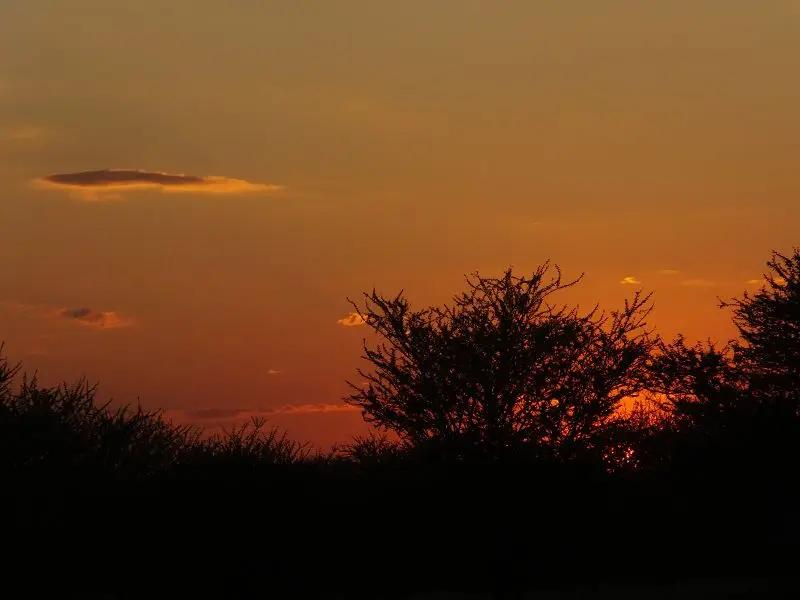 k-DSCF2265.JPG