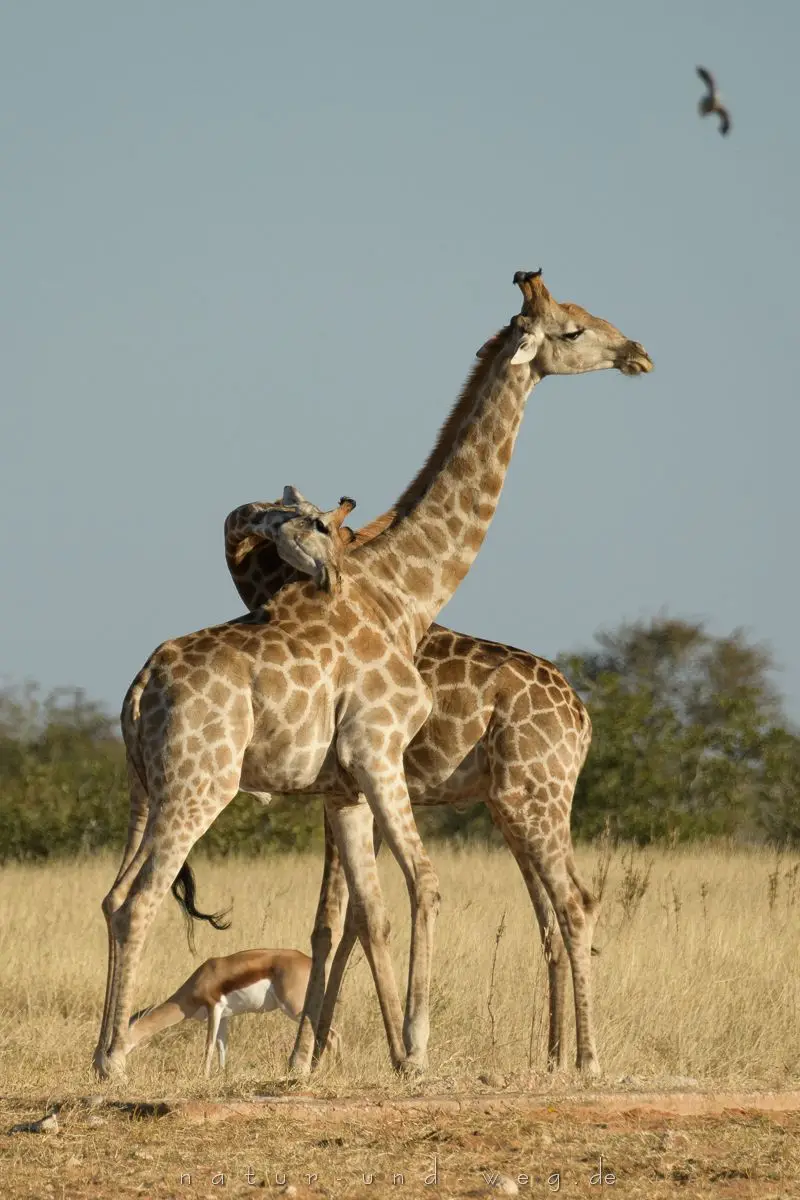 018-2-3-4-5-6-7-8.jpg