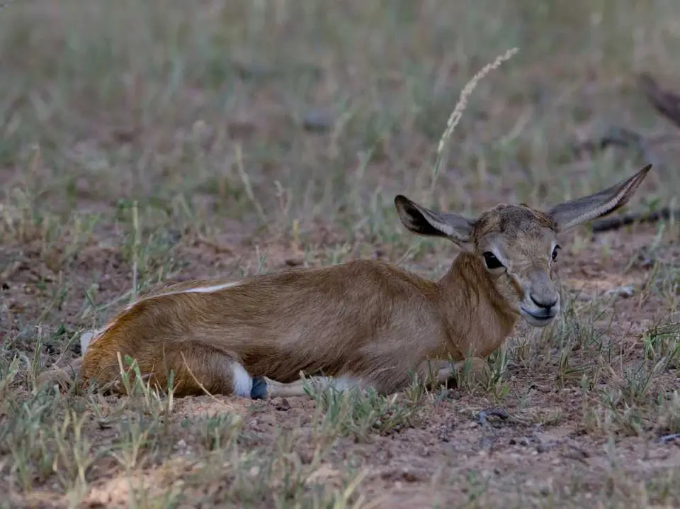 1800.jpg