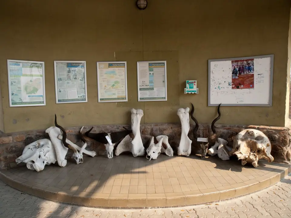 Afrika2009(1121).jpg