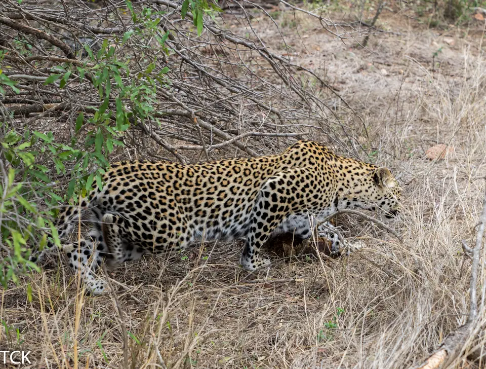 KNP18(1120).jpg