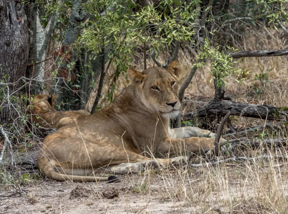 KNP18(2204).jpg