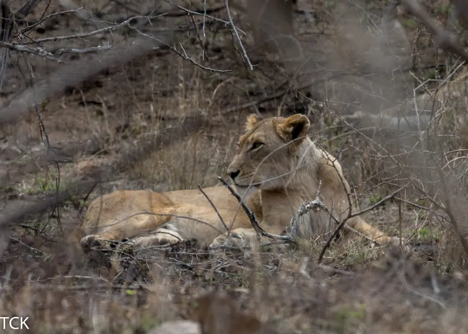 KNP18(221).jpg