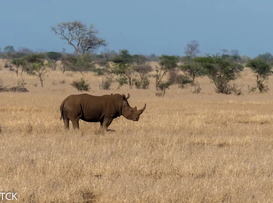 KNP18(2321).jpg