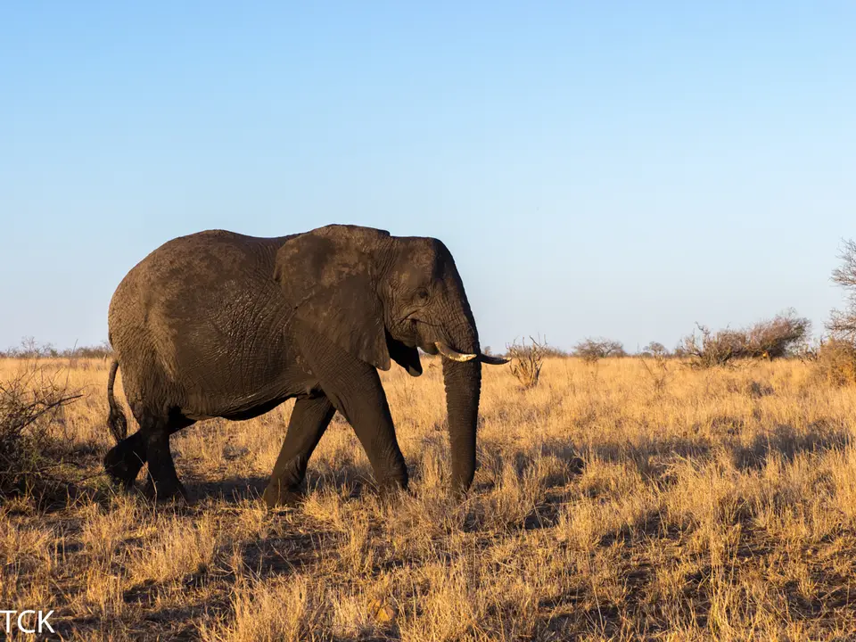KNP18(2534).jpg
