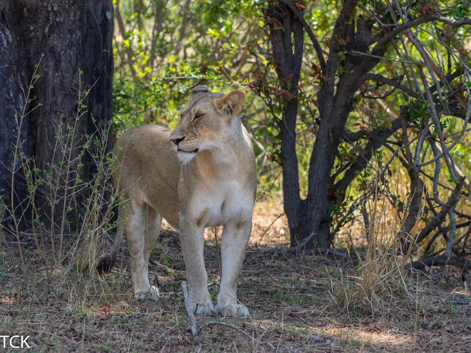 KNP18(321).jpg