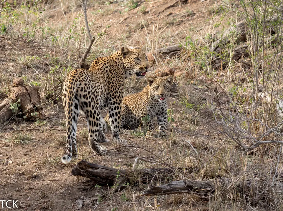 KNP18(3749).jpg