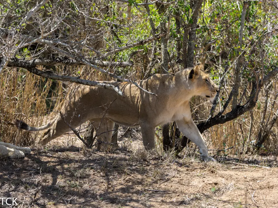 KNP18(382).jpg