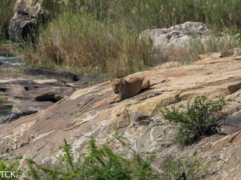 KNP18(391).jpg