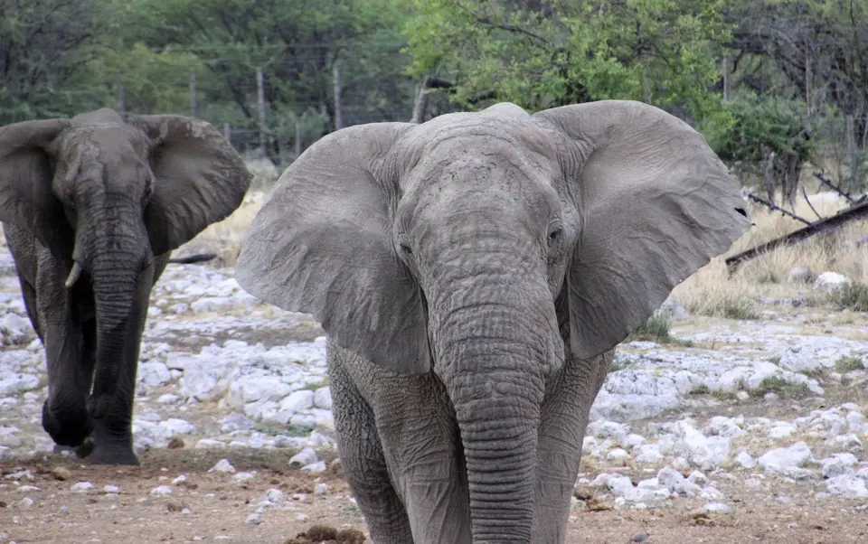 Namibia(3457).JPG
