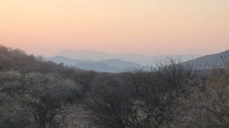 20240831_071802.jpg