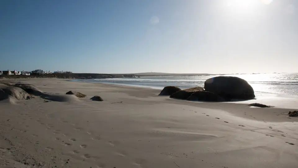 0142SA2018.jpg