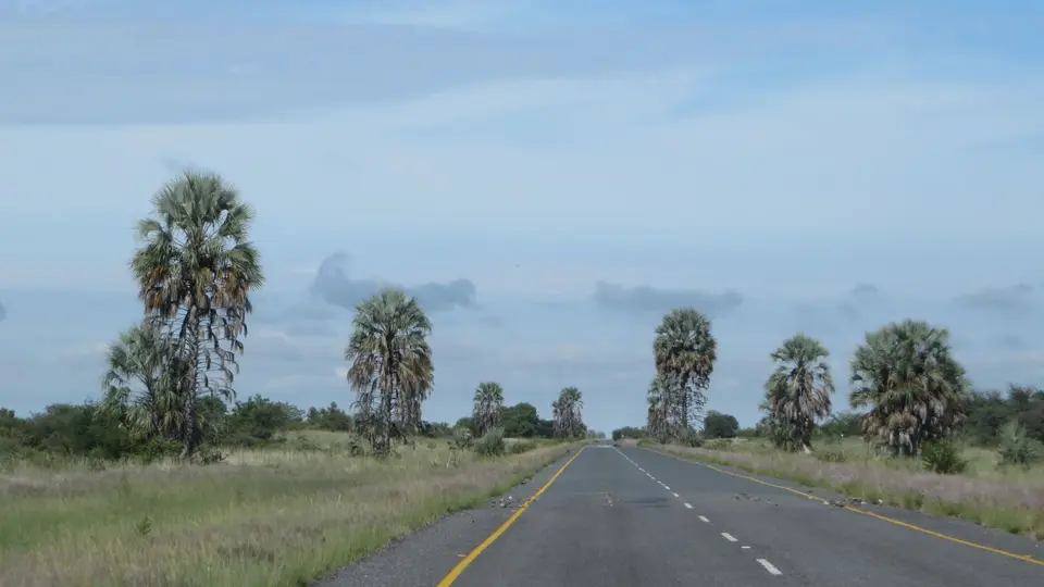 2016Botswana1720.jpg