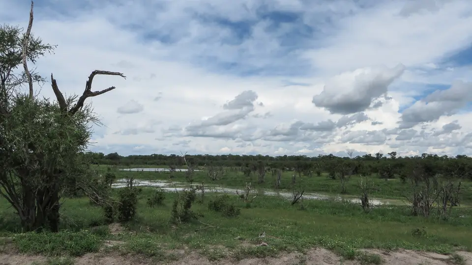 2016Botswana1810.jpg