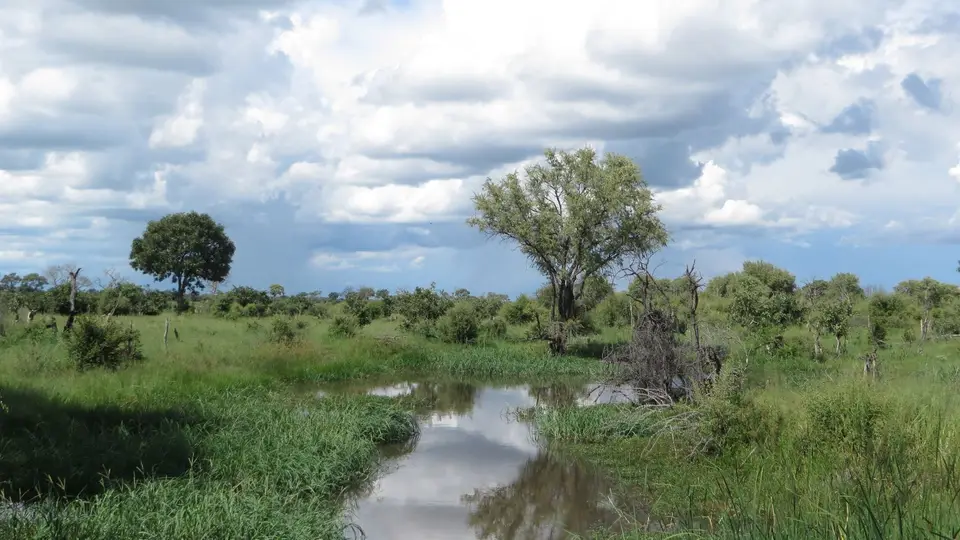 2016Botswana2055.jpg