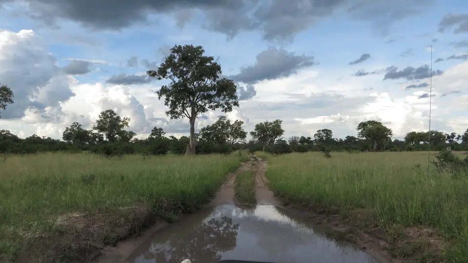 2016Botswana2097.jpg