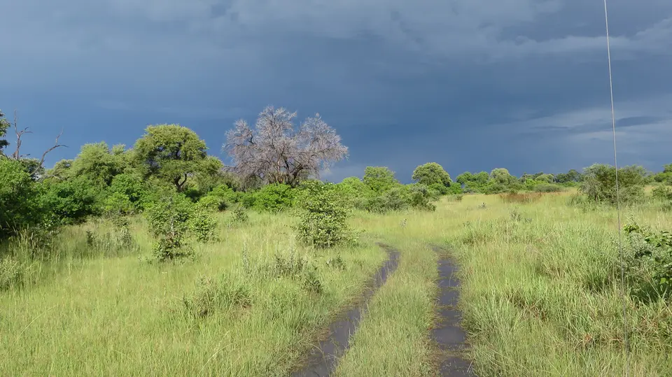 2016Botswana2167.jpg