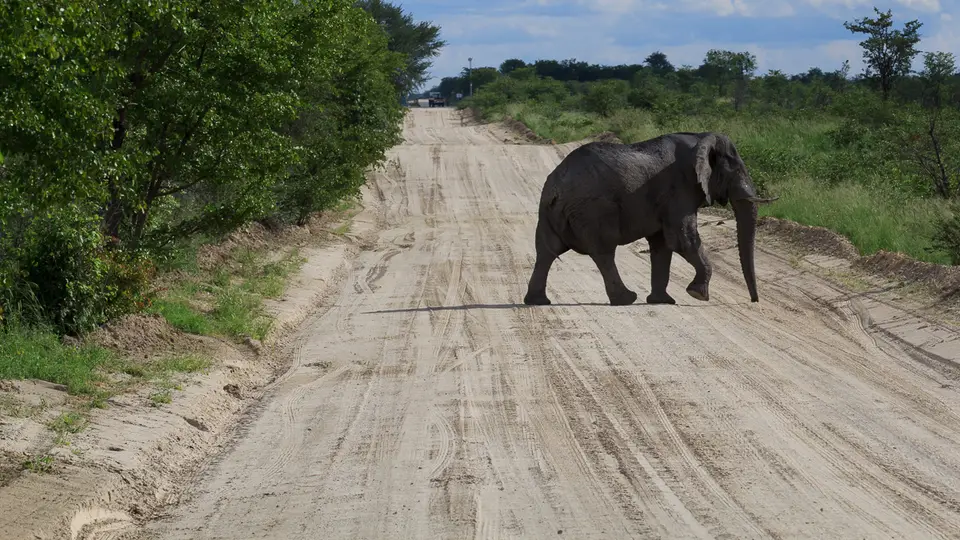2016Botswana4000.jpg