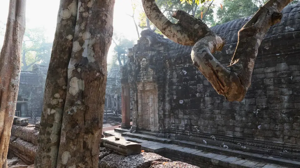 2020BangkokKambodscha1710.jpg