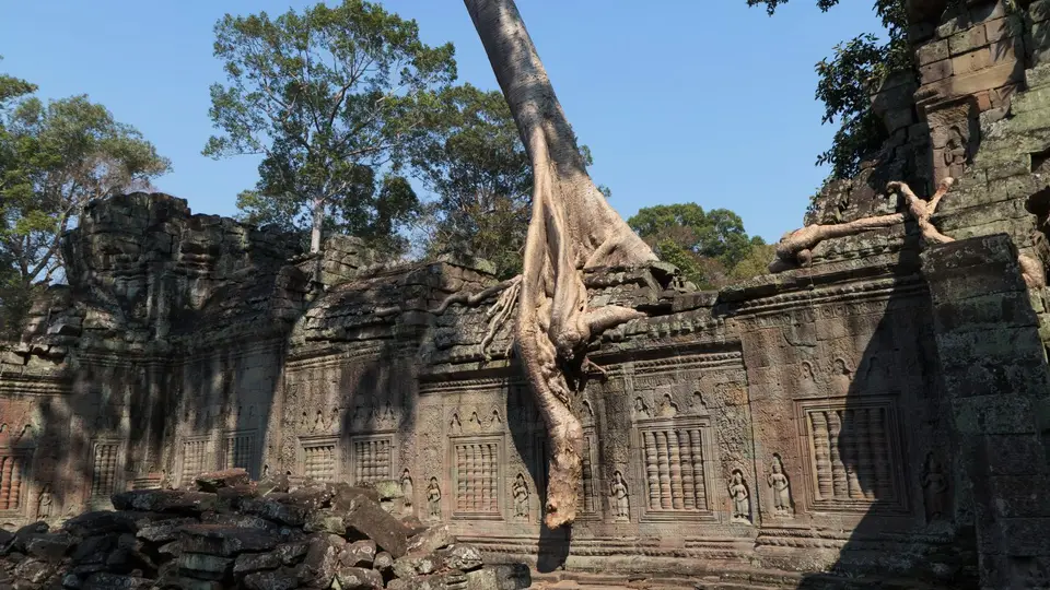 2020BangkokKambodscha2076.jpg