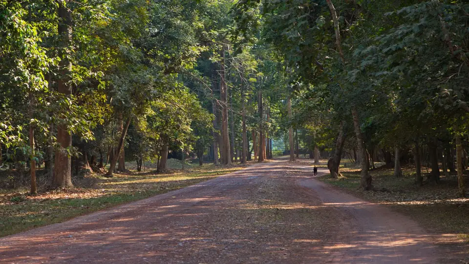 2020BangkokKambodscha2276.jpg