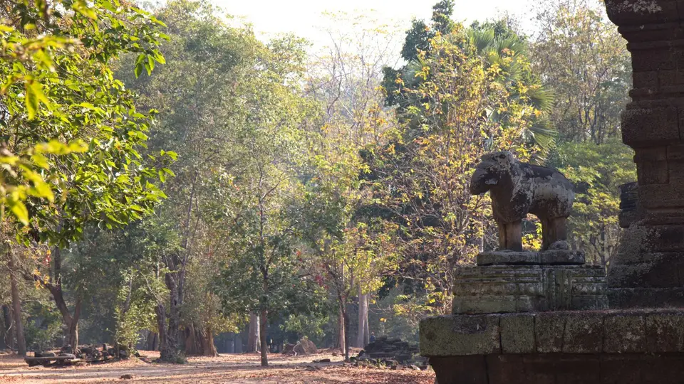 2020BangkokKambodscha3015.jpg