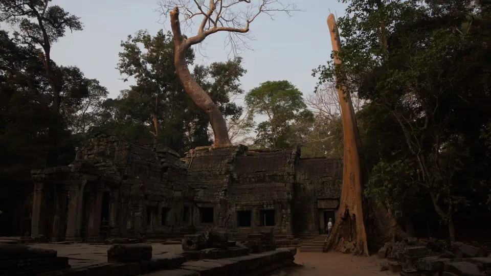 2020BangkokKambodscha3216.jpg