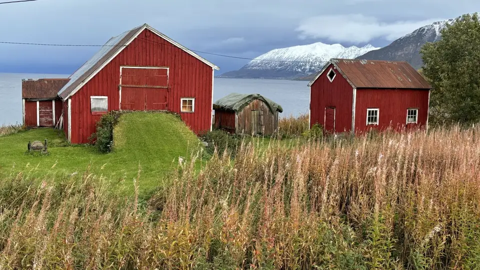 2024Norwegen1349.jpg