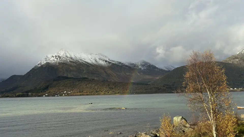 2024Norwegen1403.jpg