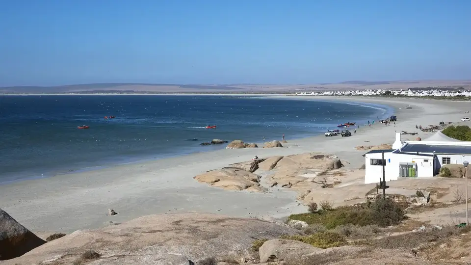 2026SACapetoKTP0744.jpg