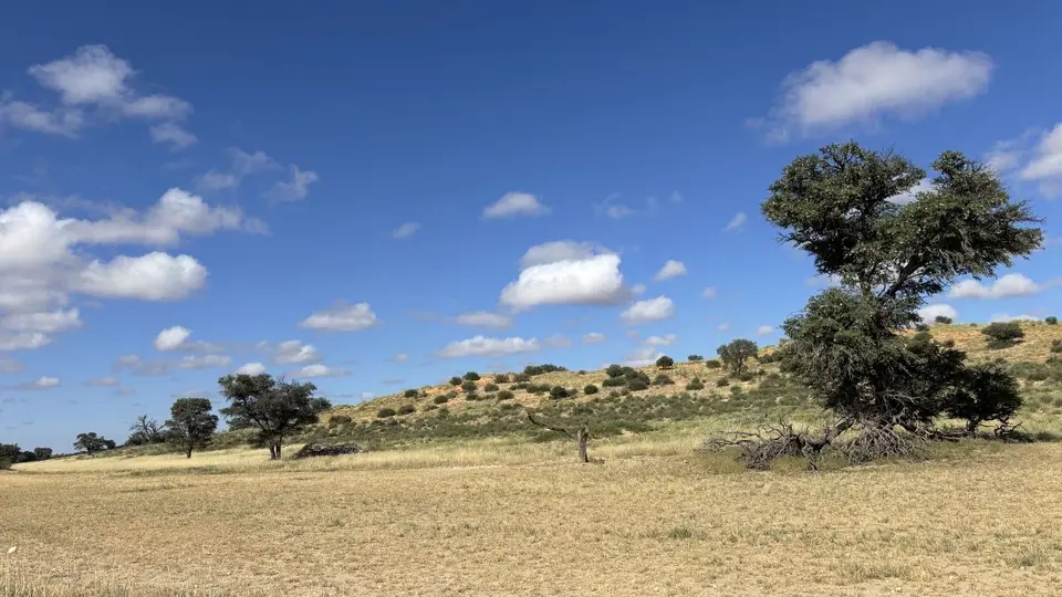 2026SACapetoKTP2088.jpg