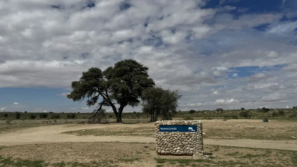 2026SACapetoKTP4041.JPG