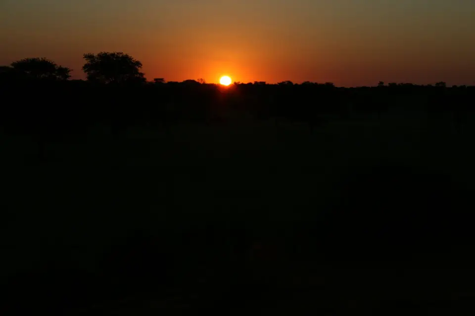 IMG_5937.JPG