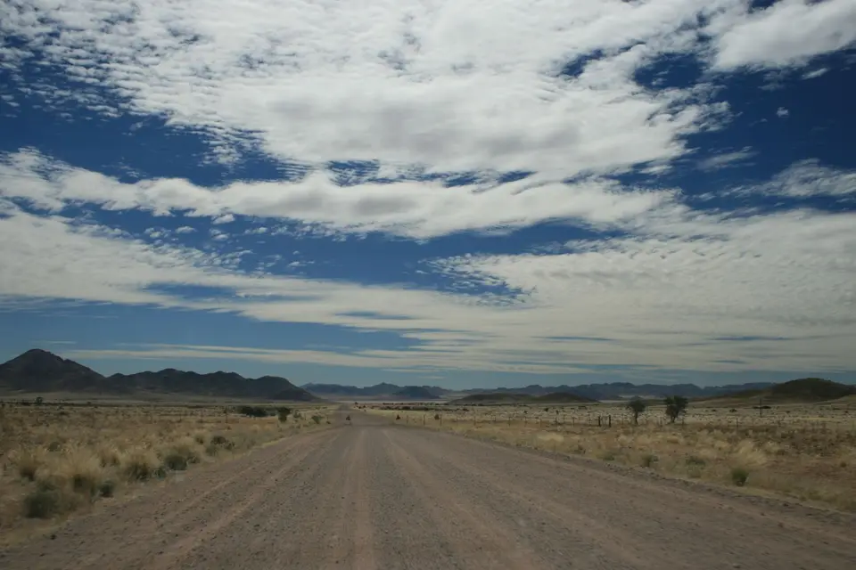 IMG_7672.JPG