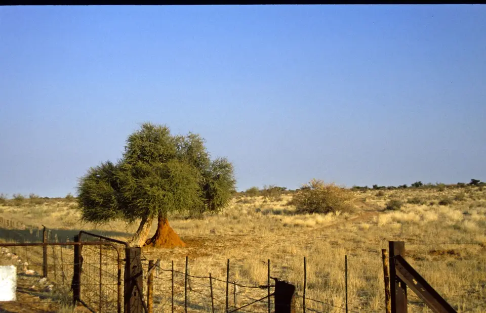Namibia033-2.jpg
