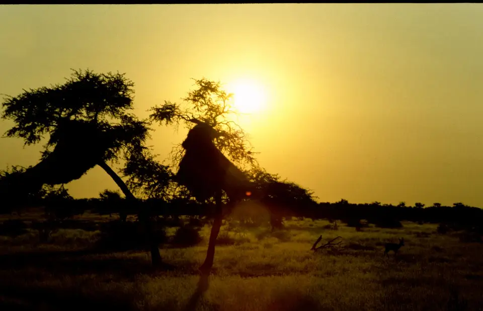 Namibia046-2.jpg