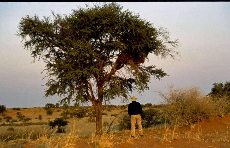 Namibia047-2.jpg