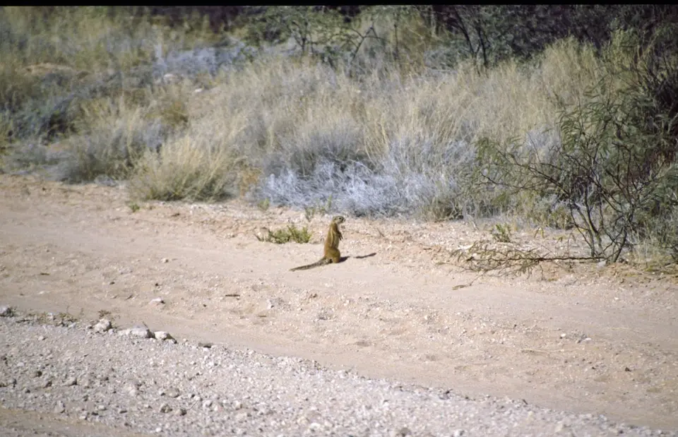 Namibia068-2.jpg