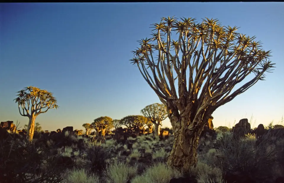 Namibia075-2.jpg