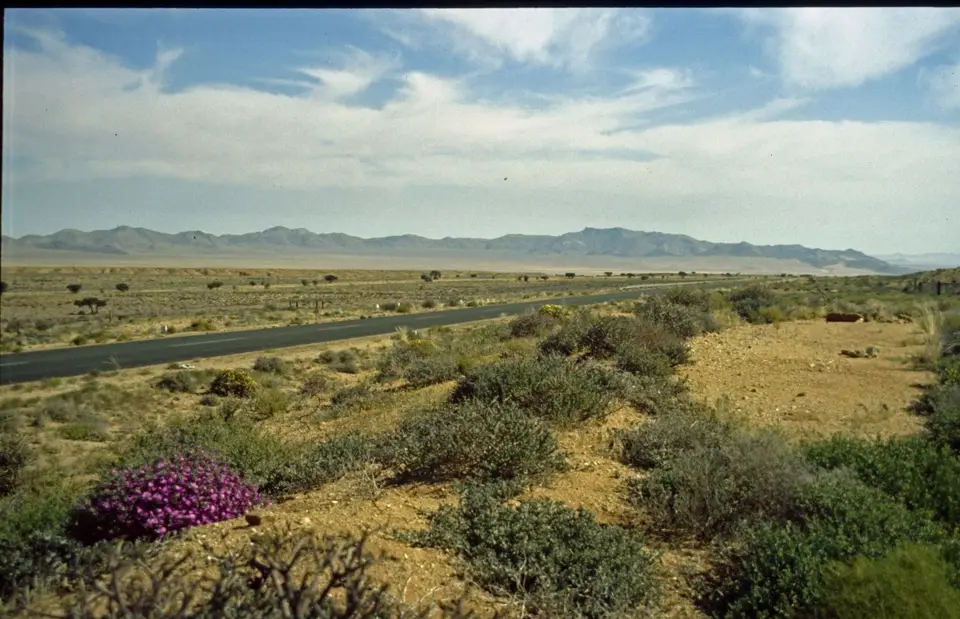 Namibia158.jpg